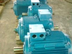 Y160M1-2 11KW電機(jī) 食品機(jī)械設(shè)備中的動(dòng)力核心